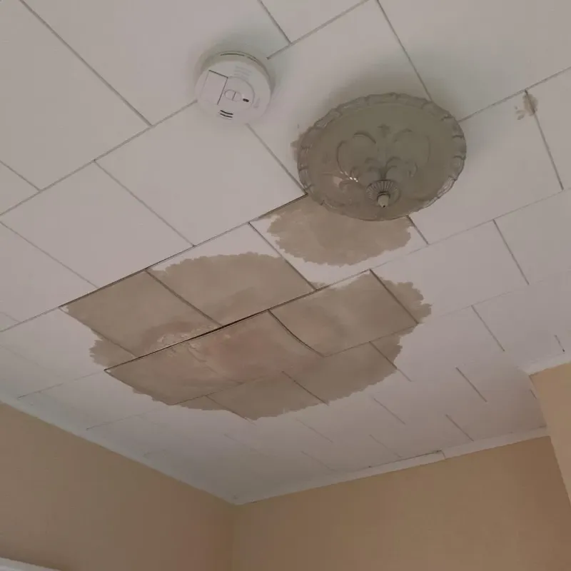 Ceiling Water Damage Repair in Clearwater County, ID