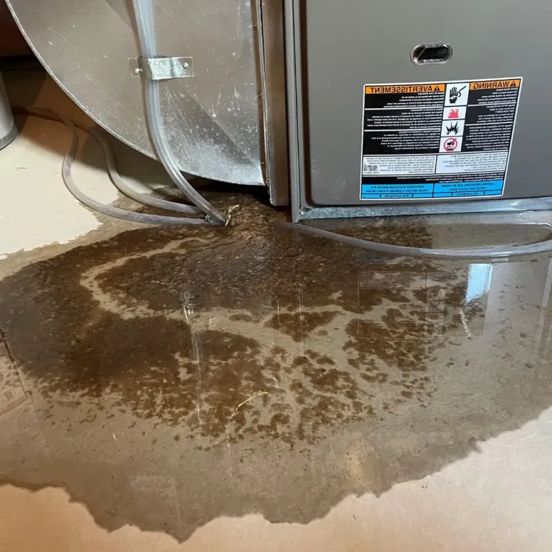 Pipe Burst and Leak Restoration in Clearwater County, ID