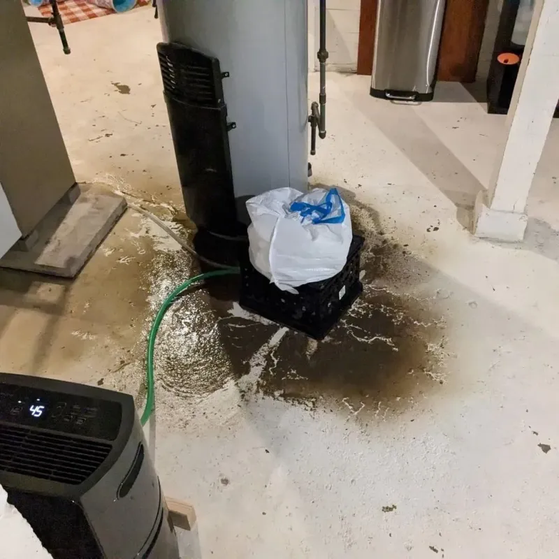 Sewage Backup Cleanup Service in Clearwater County, ID